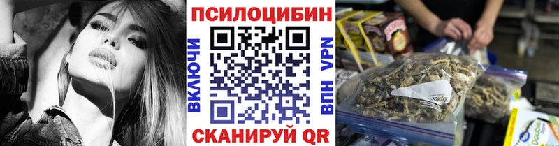 Галлюциногенные грибы Psilocybe  Купить где  Городовиковск 
